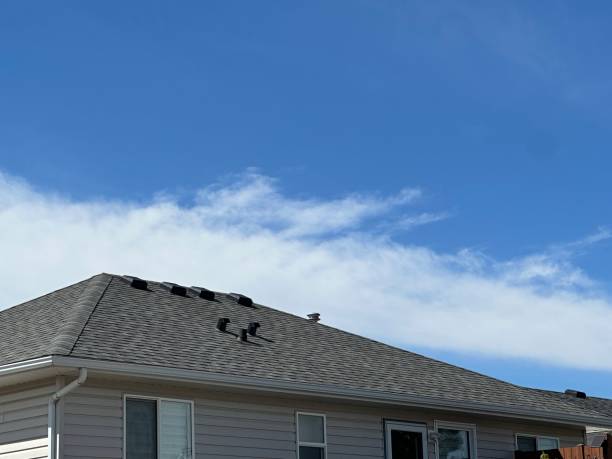 Roof Coating Services in Ixonia, WI